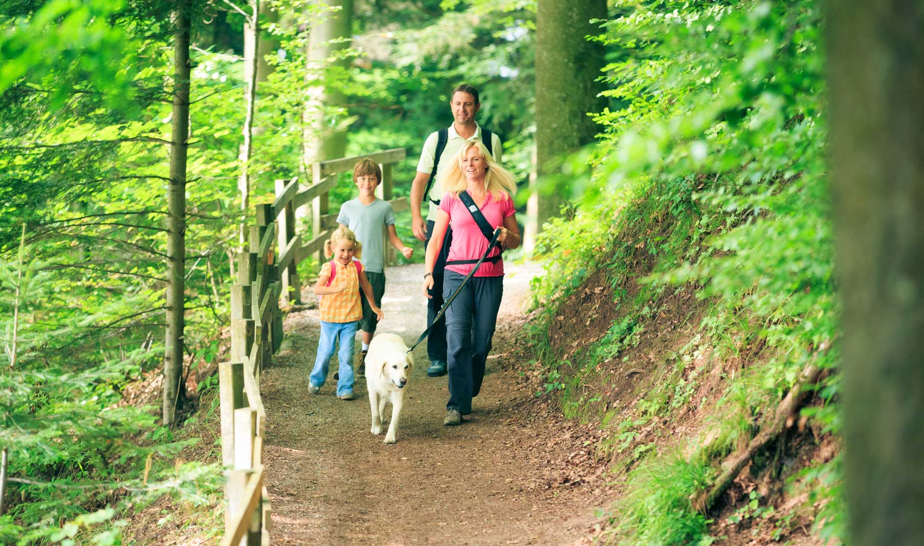 Sur Greeland Northwest Hidden Greenville Hidden Gems Only on Craigslist